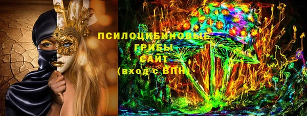 PSILOCYBIN Куйбышев