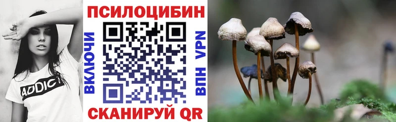 Купить  Калач  Галлюциногенные грибы мицелий 